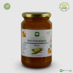 AM COSMETIK 976- MIEL D’EUCALYPTUS 500 GR